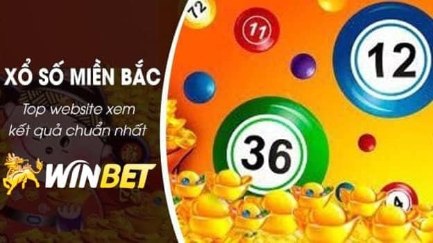 lưu ý cho người chơi