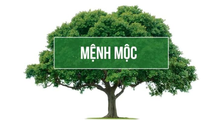 con-so-hop-menh-moc4-739x400